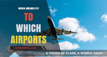 Global Airline Routes: Which Carriers Fly to Which Airports Worldwide