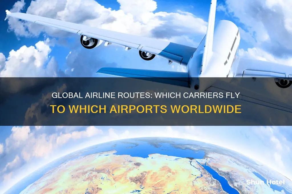 which airlines fly to which airports