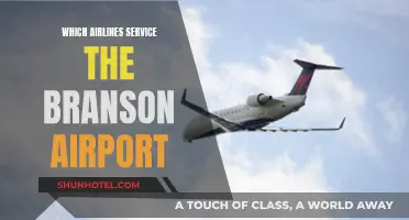 Branson Airport: Airlines and Services