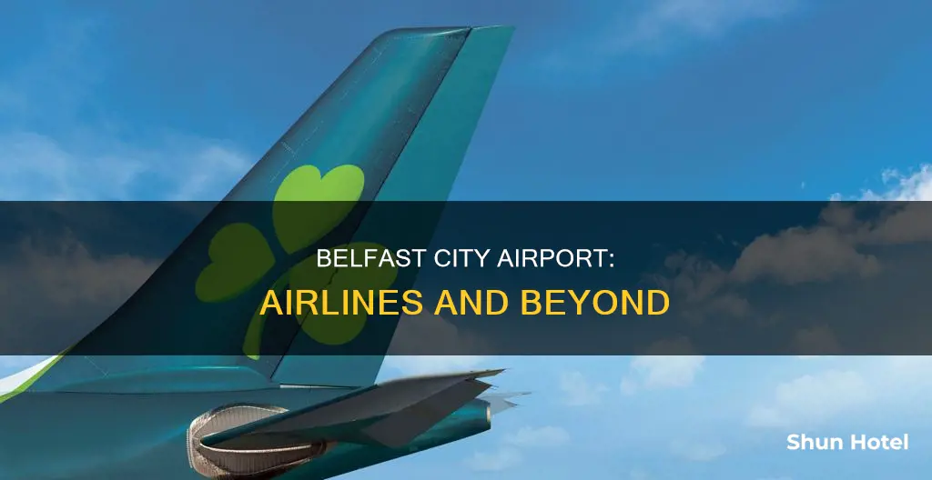 which airlines use belfast city airport