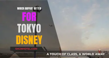 Tokyo Disney: Choosing the Best Airport for Your Trip