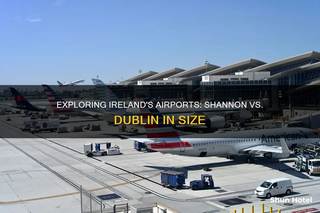 which airport bigger shannon or dublin