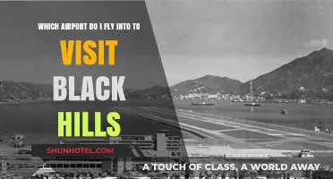 Best Airports for Visiting the Black Hills: Your Ultimate Travel Guide