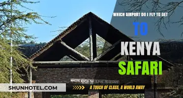 Best Airports for Kenya Safari: Your Ultimate Travel Guide