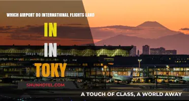 International Flights to Tokyo: Which Airport Should You Land At?
