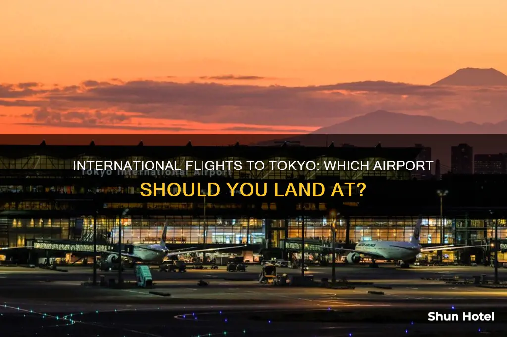 which airport do international flights land in in toky
