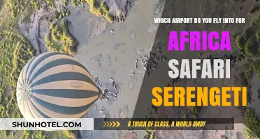 Best Airport for Serengeti Safari: Your Ultimate Africa Travel Guide