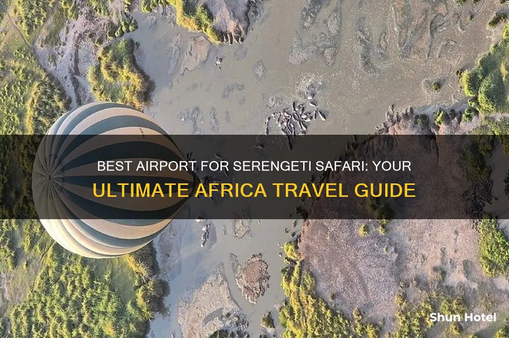 which airport do you fly into for africa safari serengeti