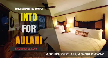 Fly to Aulani: Your Guide to the Nearest Hawaii Airport