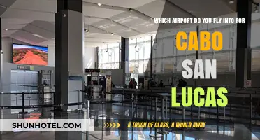 Best Airport Options for Flying into Cabo San Lucas: A Guide