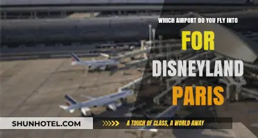 Fly to Disneyland Paris: Your Ultimate Airport Guide