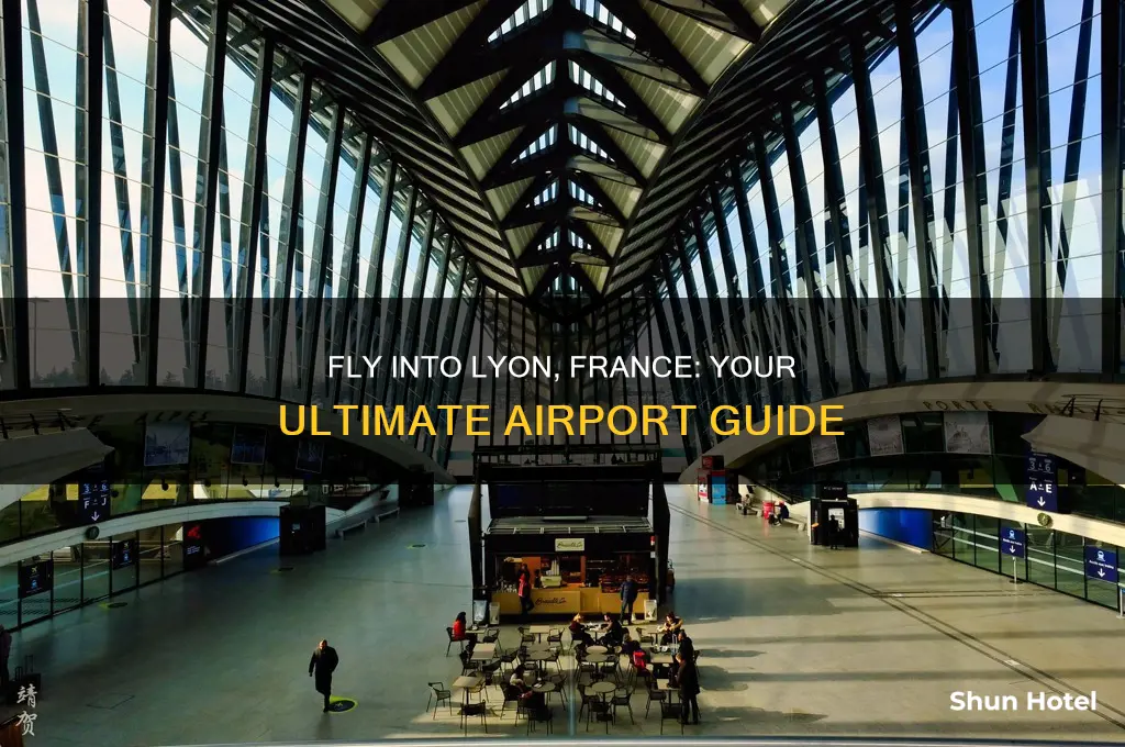 which airport do you fly into for lyon france