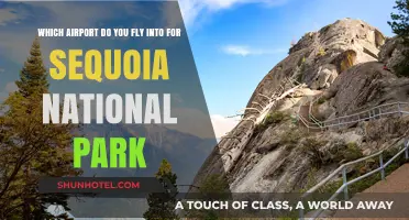 Best Airports for Sequoia National Park: Your Ultimate Travel Guide