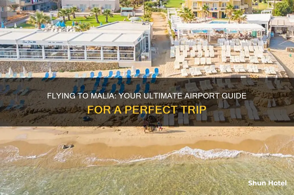 which airport do you fly to for malia
