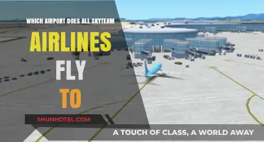 SkyTeam Airlines' Global Hub: Which Airport Connects Them All?