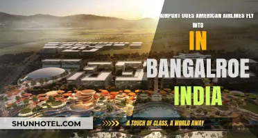 American Airlines Bangalore Airport Guide: Which Terminal to Choose?