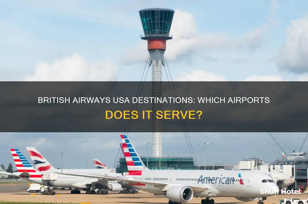 which airport does british airway fly in usa