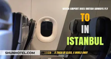 British Airways Istanbul Airport Guide: Which Hub Does BA Serve?
