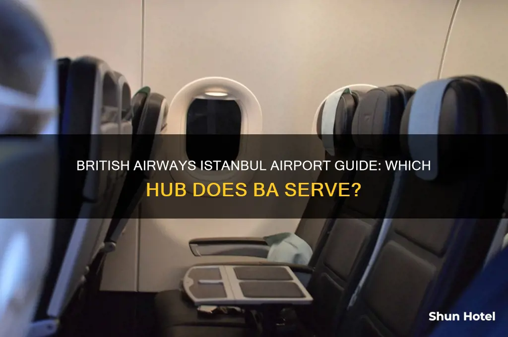 which airport does british airways fly to in istanbul