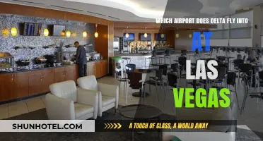 Delta's Las Vegas Gateway: Which Airport Does It Serve?