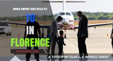 Delta's Florence Airport: Your Gateway to Tuscany's Charm and Culture