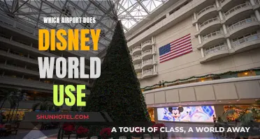 Orlando International Airport: Gateway to Disney World