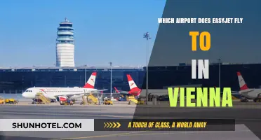 EasyJet's Vienna Airport Guide: Which Hub Serves Your Austrian Journey?