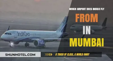Mumbai's Indigo Flights: Which Airport Does Indigo Operate From?