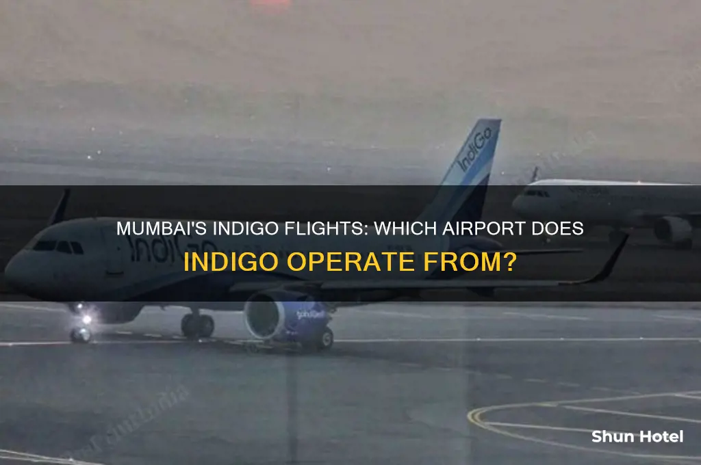 which airport does indigo fly from in mumbai