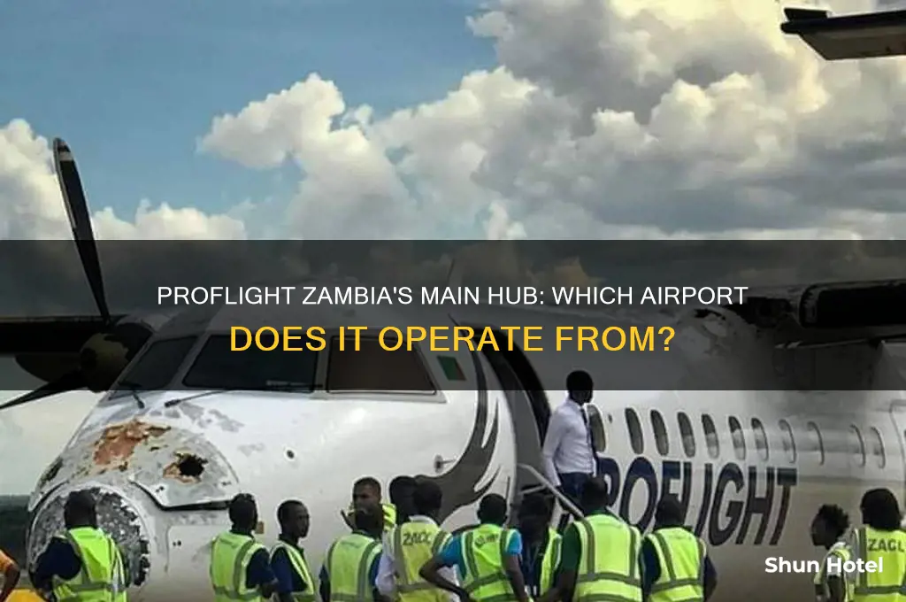 which airport does proflight fly out of
