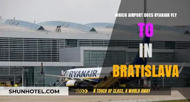 Ryanair's Bratislava Airport Guide: Which Hub Serves the Slovak Capital?