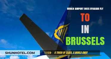 Ryanair's Brussels Airport Guide: Which Hub Does It Serve?