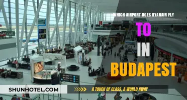 Ryanair's Budapest Airport Guide: Which Hub Serves Your Flight?