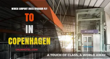 Ryanair's Copenhagen Airport Guide: Which Hub Serves the City?