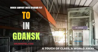 Ryanair's Gdansk Airport Guide: Which Terminal and Location to Expect