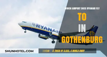 Ryanair's Gothenburg Airport: Which Hub Serves Your Swedish Journey?