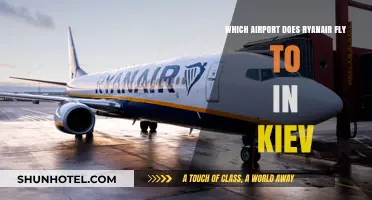 Ryanair's Kiev Airport Guide: Which Hub Serves Your Ukrainian Journey?