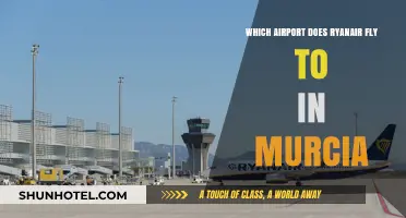 Ryanair's Murcia Airport Guide: Which Hub Serves the Region?