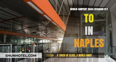 Ryanair's Naples Airport Guide: Which Hub Serves the City?