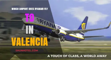 Ryanair's Valencia Airport Guide: Which Hub Serves the City?