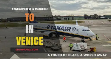 Ryanair's Venice Airport Guide: Which Hub Serves the Floating City?