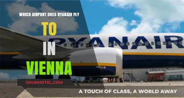 Ryanair's Vienna Airport Guide: Which Hub Serves the Austrian Capital?