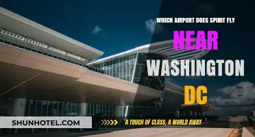 Spirit Airlines Near Washington DC: Which Airport Does It Serve?
