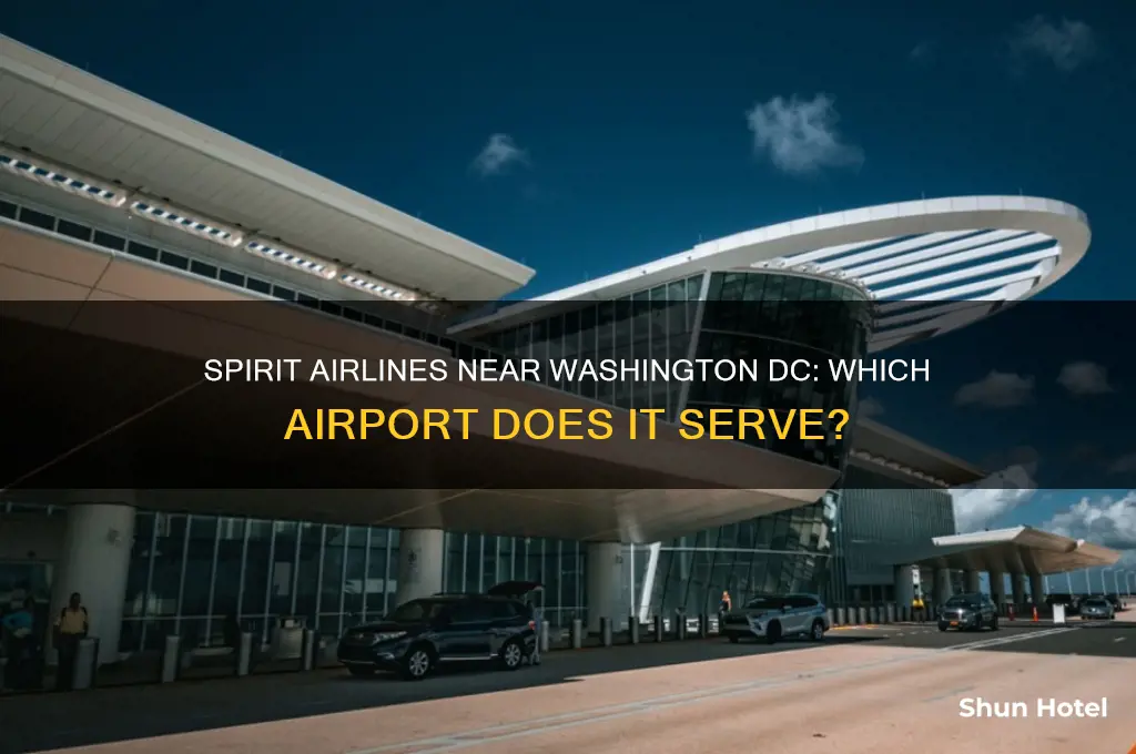 which airport does spirit fly near washington dc