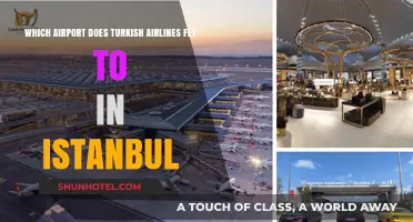 Turkish Airlines Istanbul Airport Guide: Which Hub to Choose?