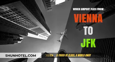 Vienna to JFK: Top Airlines and Flight Options Explained
