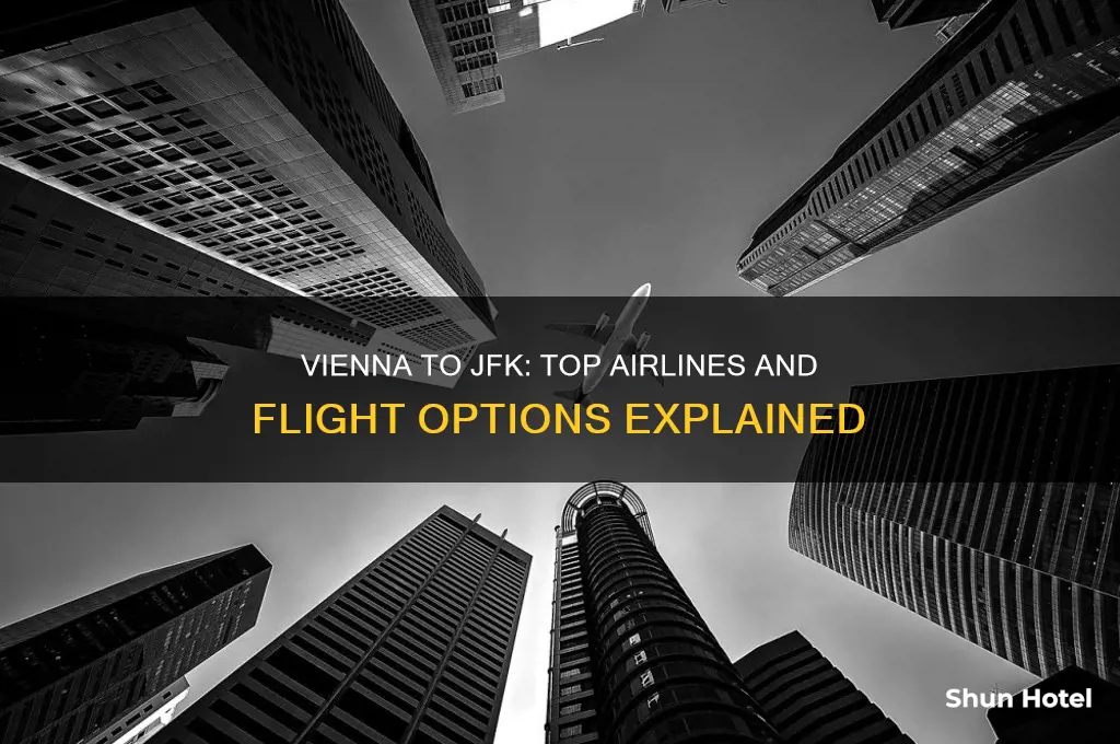 which airport flies from vienna to jfk
