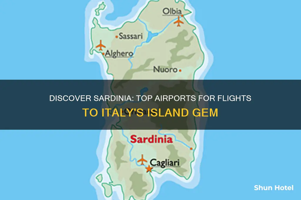 which airport flies into sardinia italy