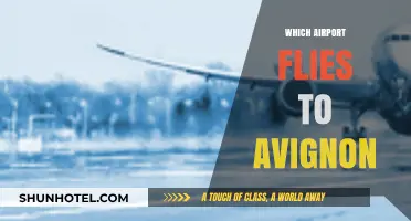 Discover the Best Airports for Flights to Avignon, France
