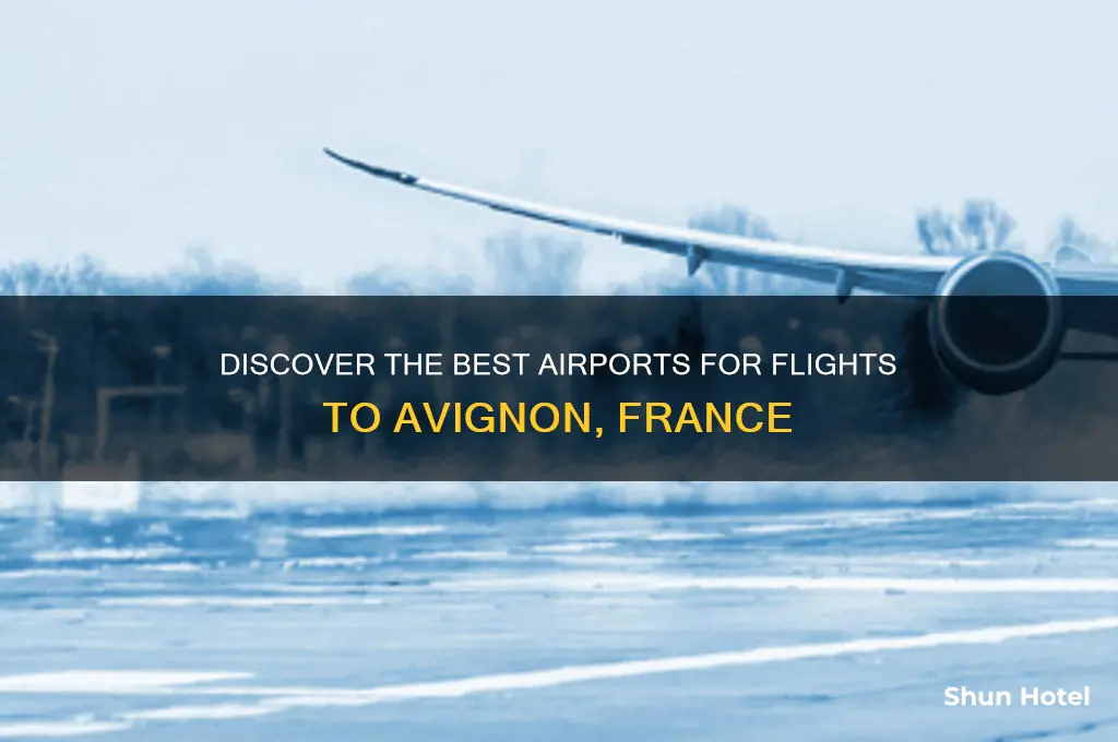 which airport flies to avignon